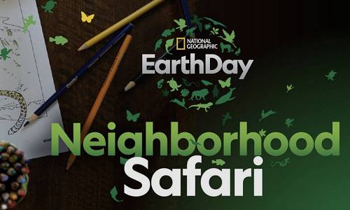 It's Earth Day - Go on a Safari with Your Kids!
